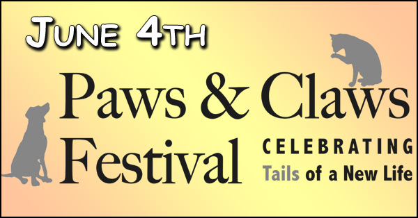 paws 600x314
